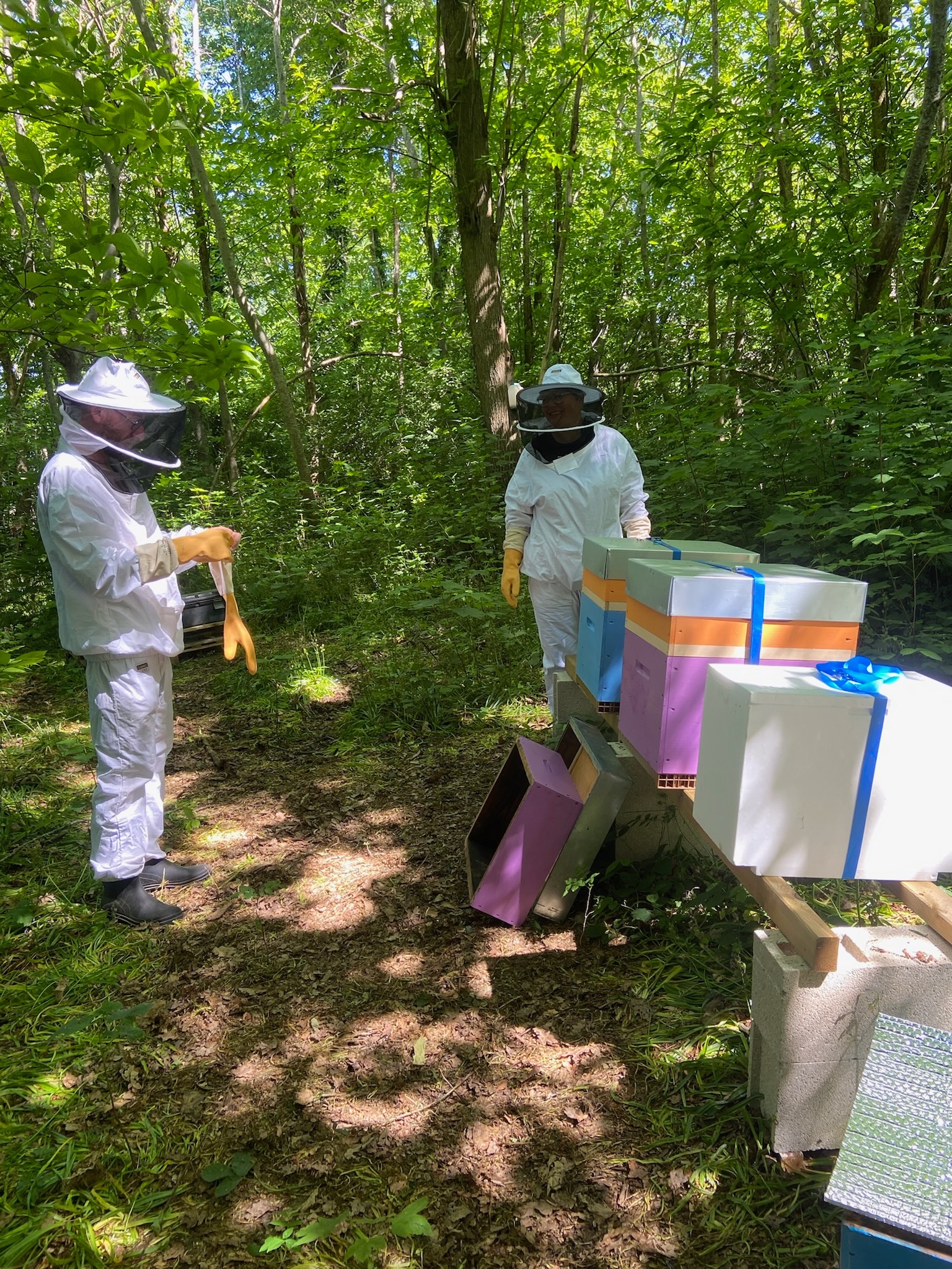 Apiculteurs au travail auprès des ruches du Rucher des Beestioles
